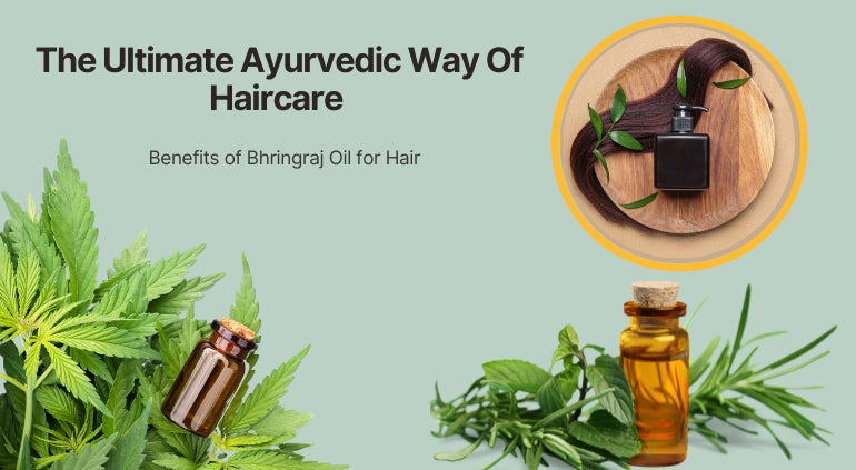 Bhringraj Oil: The Ultimate Ayurvedic Way Of Haircare