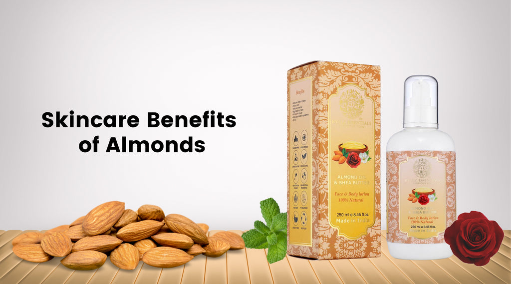 Top Reasons To Add Almonds In Your Skincare Regimen